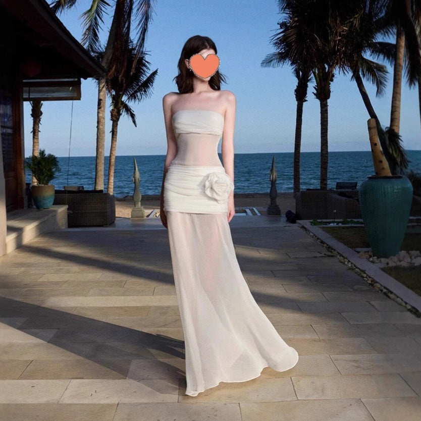 Women's Elegant Mesh Fairy Tube Dress with Floral Print